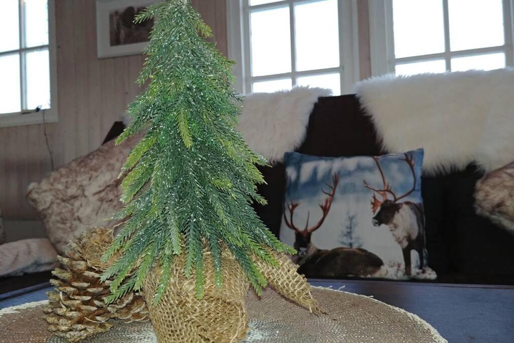 Cosy Cottage-Alfabakki-With Hot Tub Stori-Bakki ภายนอก รูปภาพ