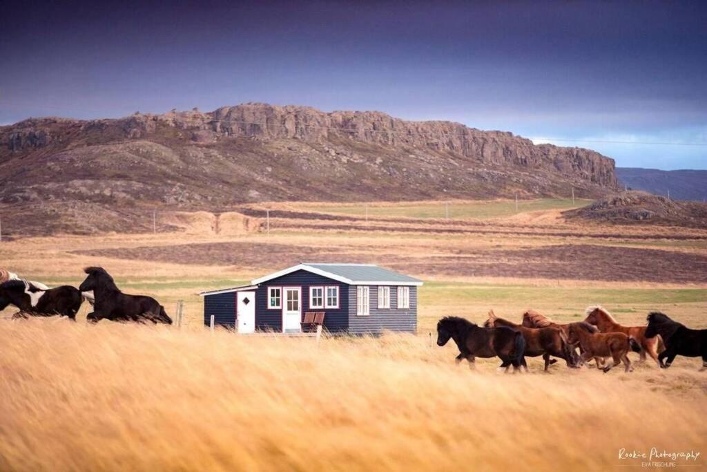 Cosy Cottage-Alfabakki-With Hot Tub Stori-Bakki ภายนอก รูปภาพ